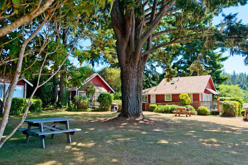 a picnic table in front of a house with a tree at View Crest Lodge in Trinidad