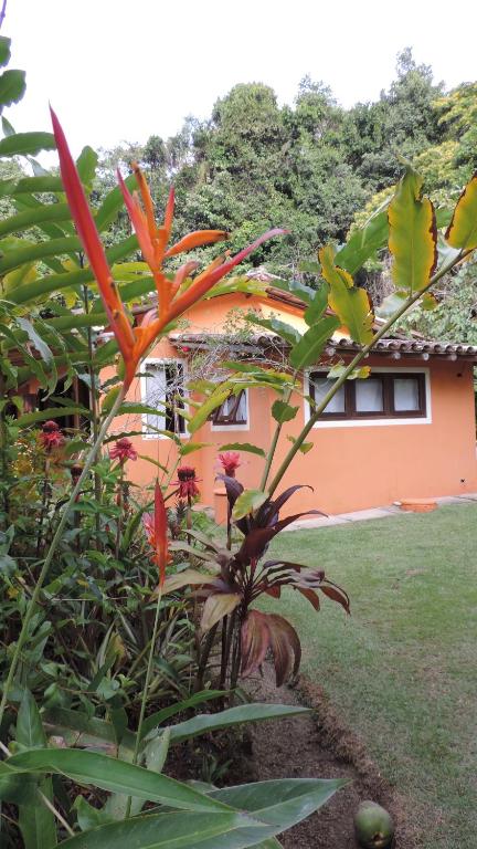  Canto Loredana
