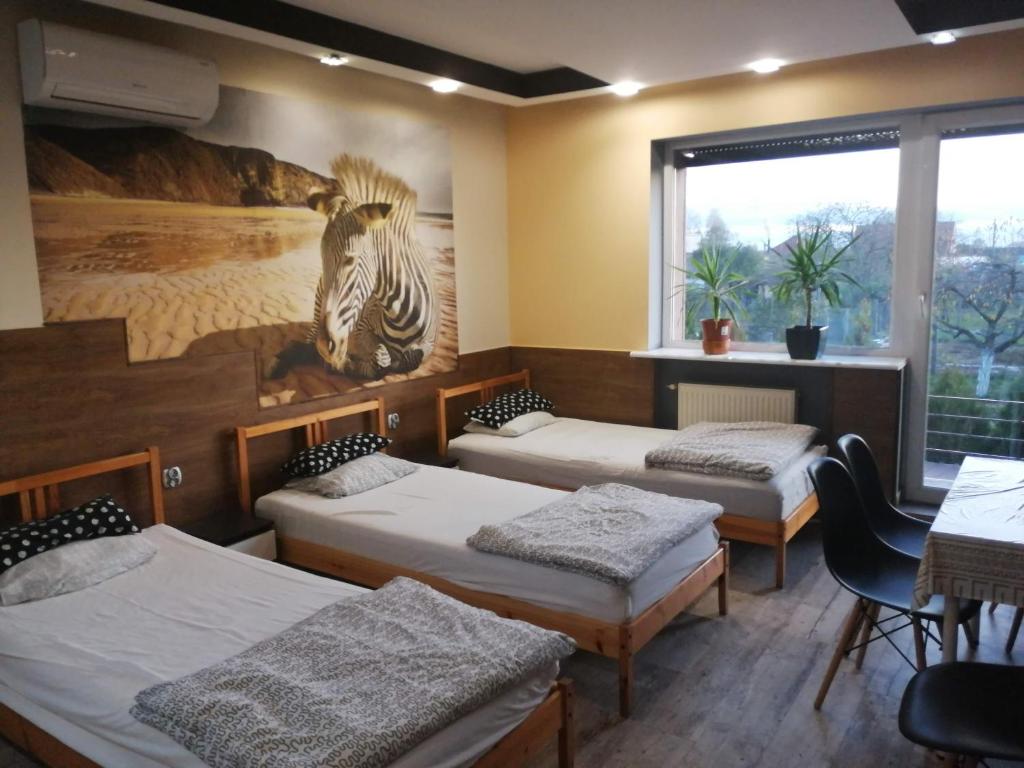 a room with four beds and a painting of a zebra at Eldom-Noclegi Pracownicze Daleka 12 in Wągrowiec