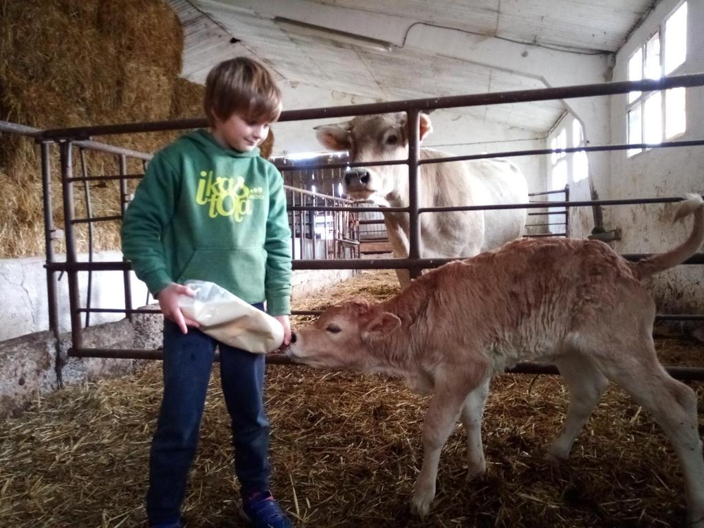 Zvieratá na farme alebo blízkom okolí