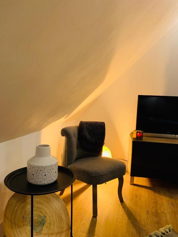 a living room with a chair and a television at La maison de Nina in Sens