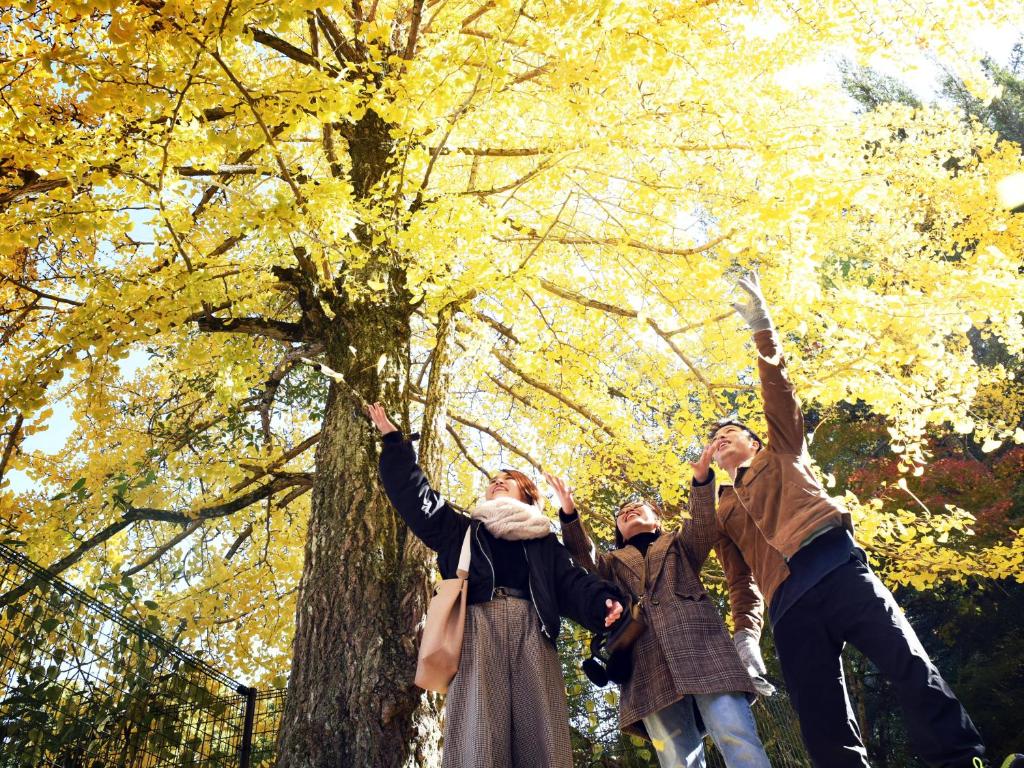 a group of people jumping in front of a tree at Miyajima Morinoyado in Miyajima