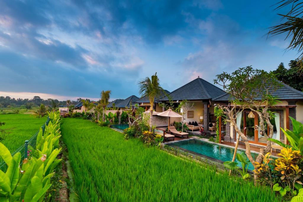 eine Villa auf einem Reisfeld mit einem Pool in der Unterkunft Bliss Ubud Spa Resort in Ubud