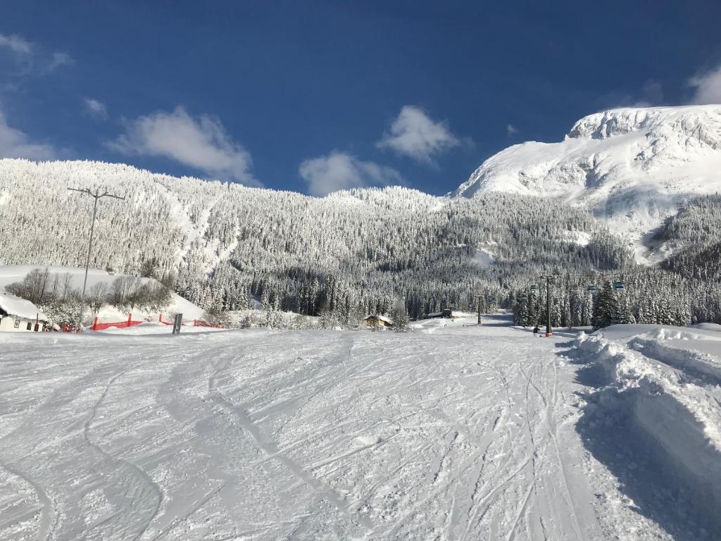 Sporthotel Dachstein West v zimě