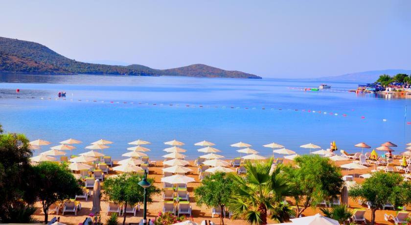 a beach with white umbrellas and the ocean at Villa Nergis in Bitez