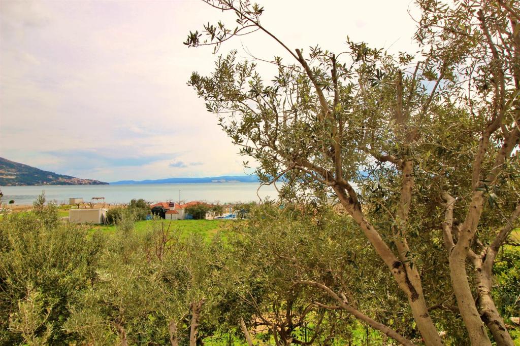 Príroda v okolí apartmánu