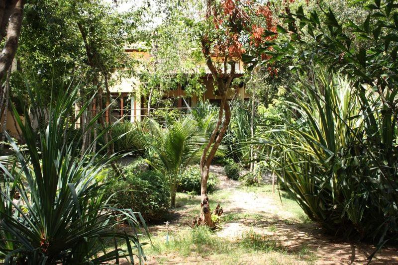  Luxury Villa Pipa Hills