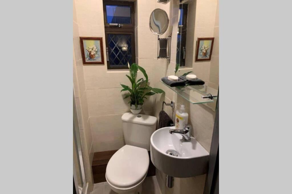 a bathroom with a toilet and a sink at Upstairs Studio - Private kitchenette and Small en-suite in Dublin