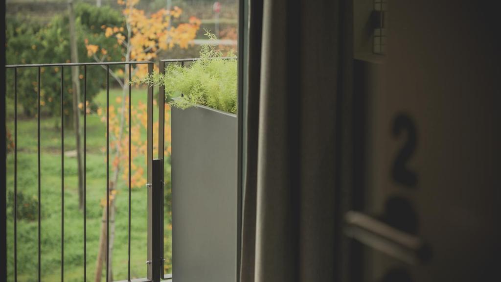 Casal dos Capelinhos - Douro - 9