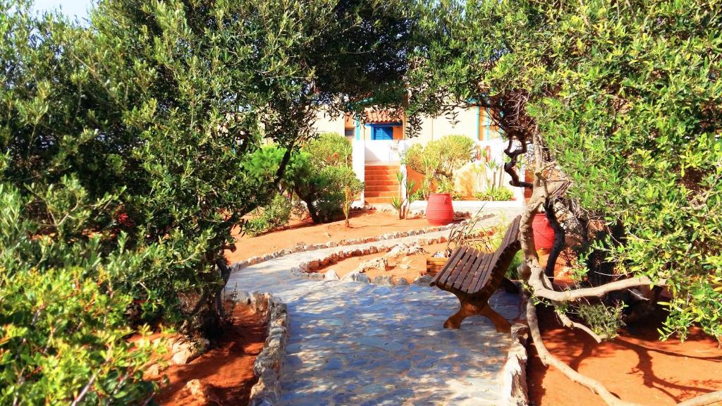 Vonkajšia záhrada v ubytovaní Zorbas Beach Village Hotel