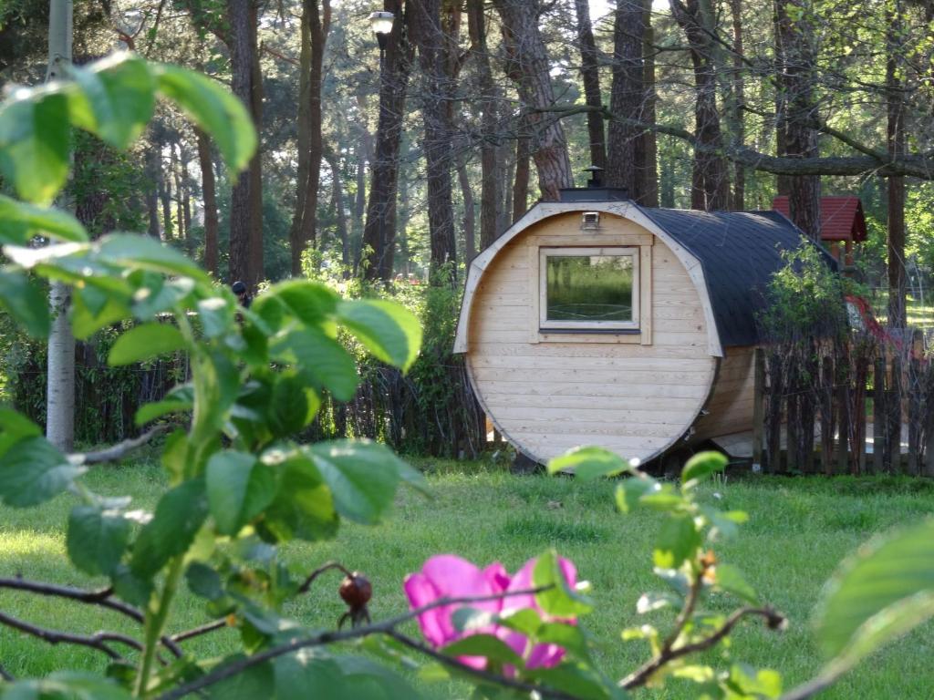a small wooden cabin in the middle of a yard at Sopot 34 przy plaży in Sopot