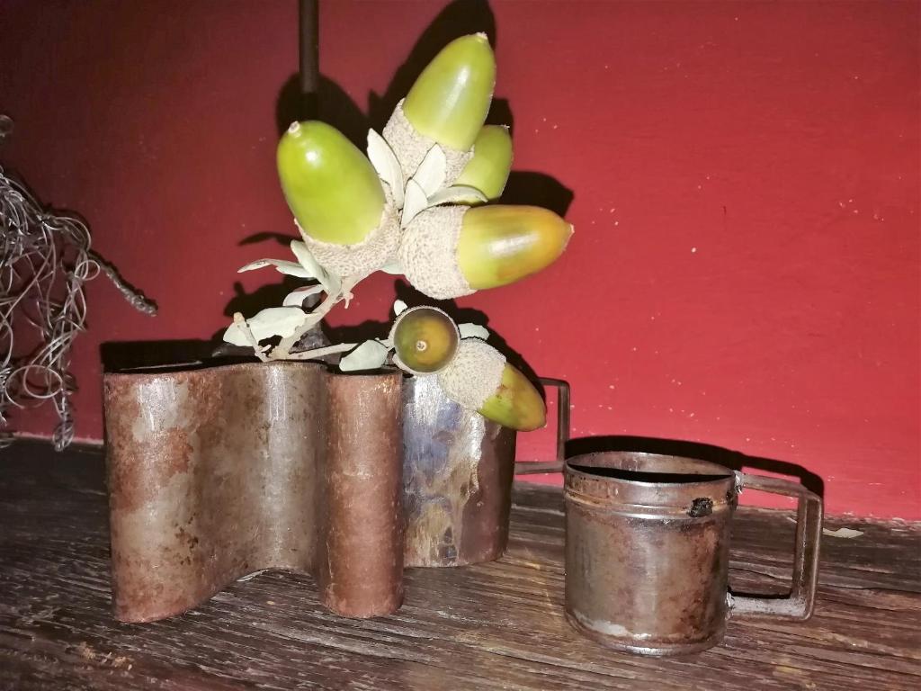 Nápoje v ubytování Casa Rural Abuela Maxi