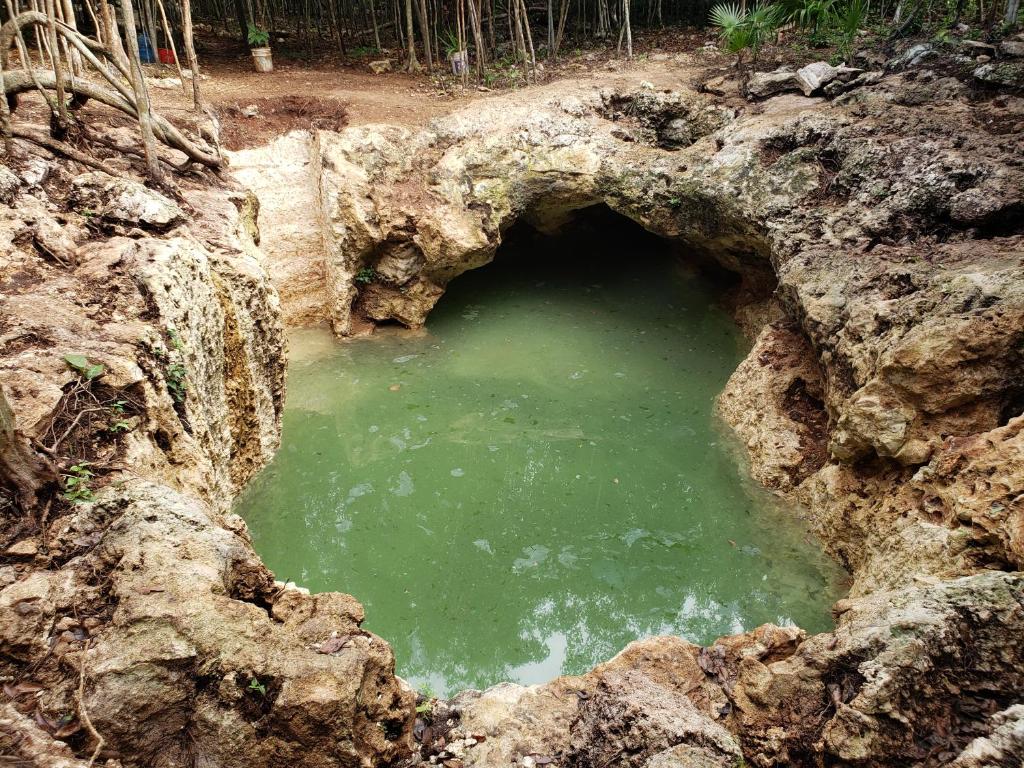 Příroda nedaleko kempu
