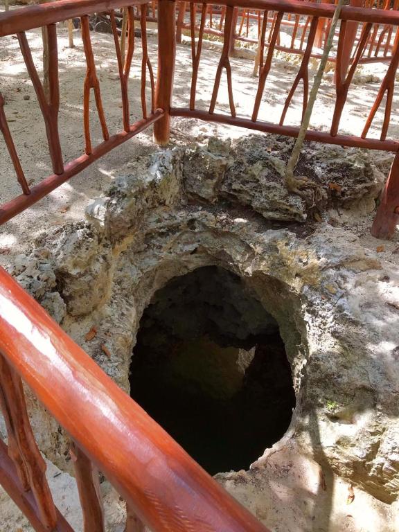 Fotografie z fotogalerie ubytování Aldea Maya-Ha Cabañas con cenotes v destinaci Puerto Morelos