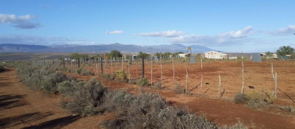 a fence in the middle of a field with trees at Natures Rest Lapa in Oudtshoorn