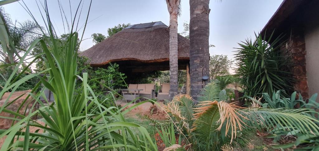 an old building with a thatched roof and some plants at Dei Gratia in Pretoria