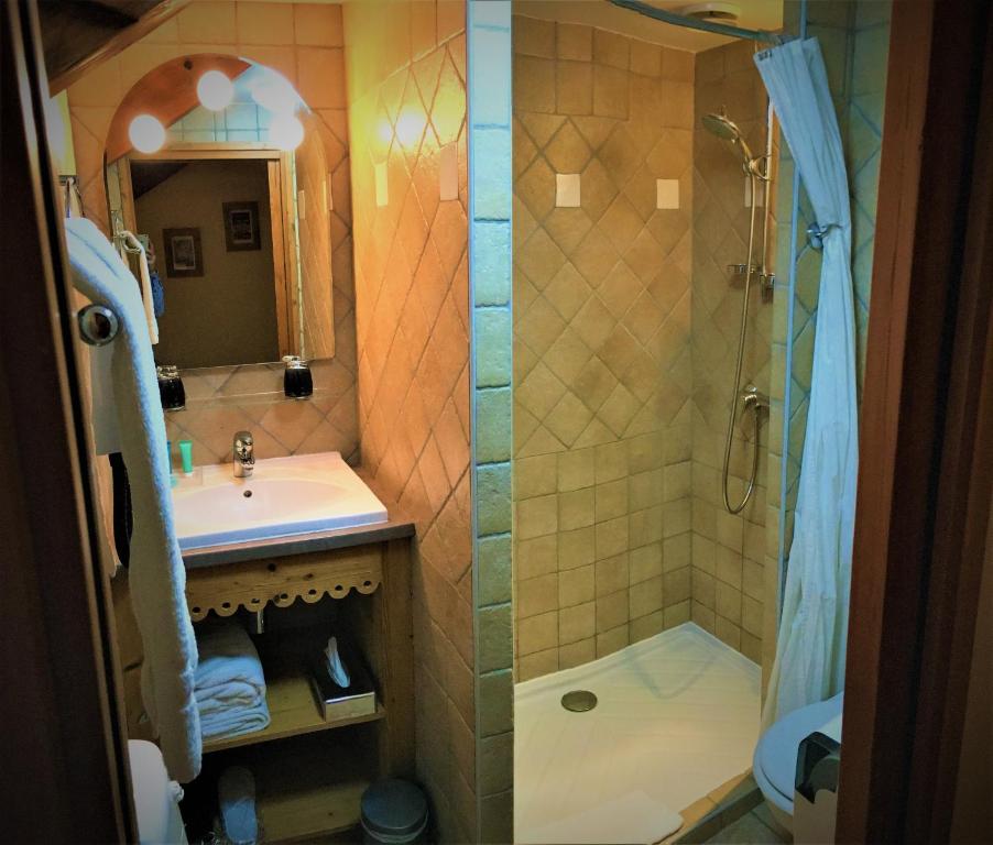 a bathroom with a shower and a sink at Auberge du Manoir in Chamonix