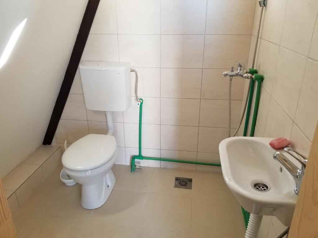 Eco Village Pavlovic - 1