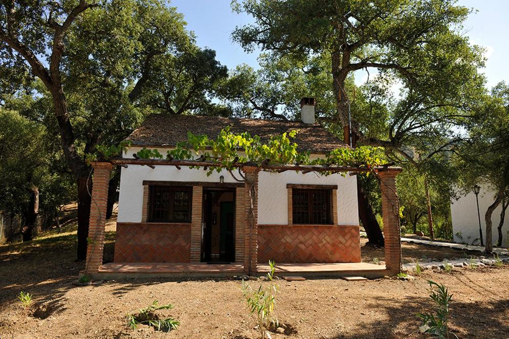 uma pequena casa de tijolos com plantas no telhado em Camping Genal em Algatocín