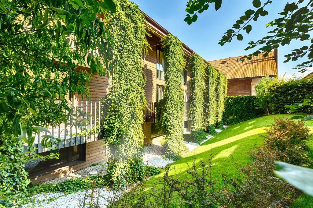 Aed väljaspool majutusasutust Hôtel la Croix Blanche