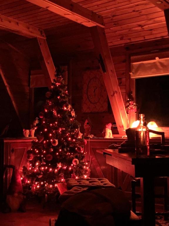 A television and/or entertainment centre at Chalet Alma