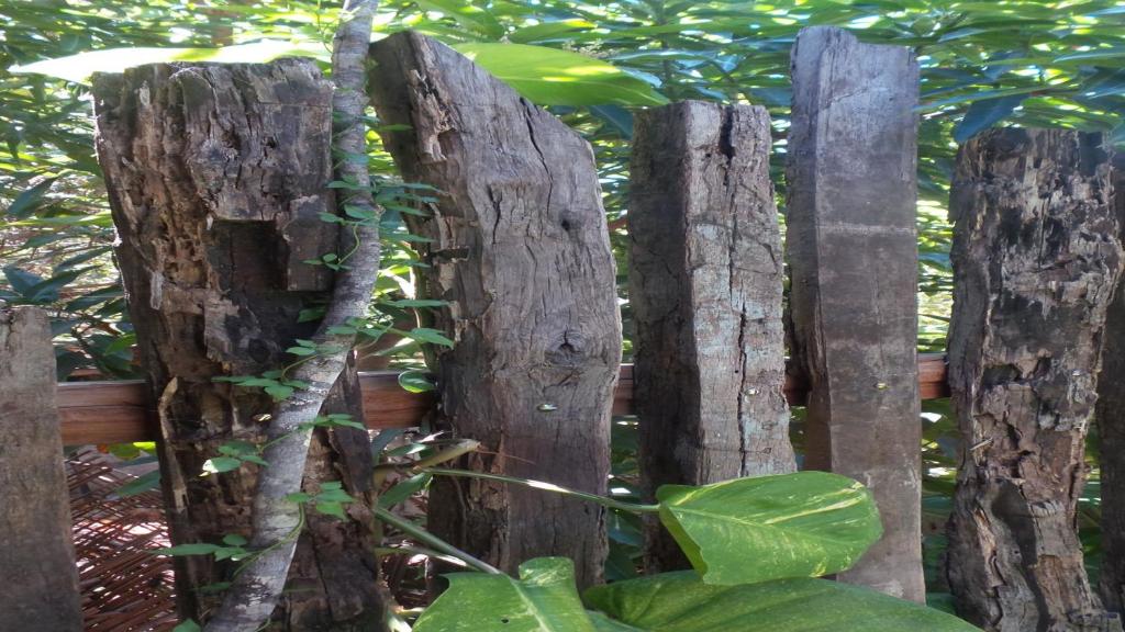 Zahrada ubytování Zazen Pousada by Santoregano
