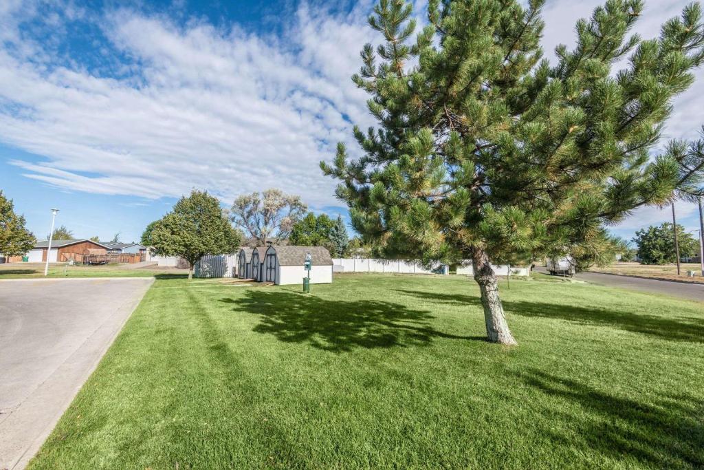 a tree in the middle of a green lawn at Days Inn by Wyndham Great Falls in Great Falls