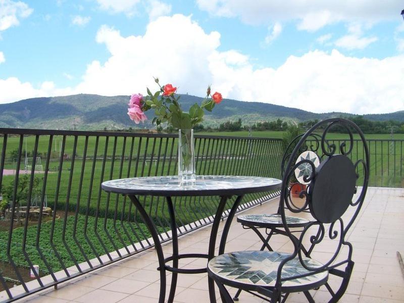 um vaso de flores sentado numa mesa na varanda em Casa Puyuelo Tierrantona em Tierrantona