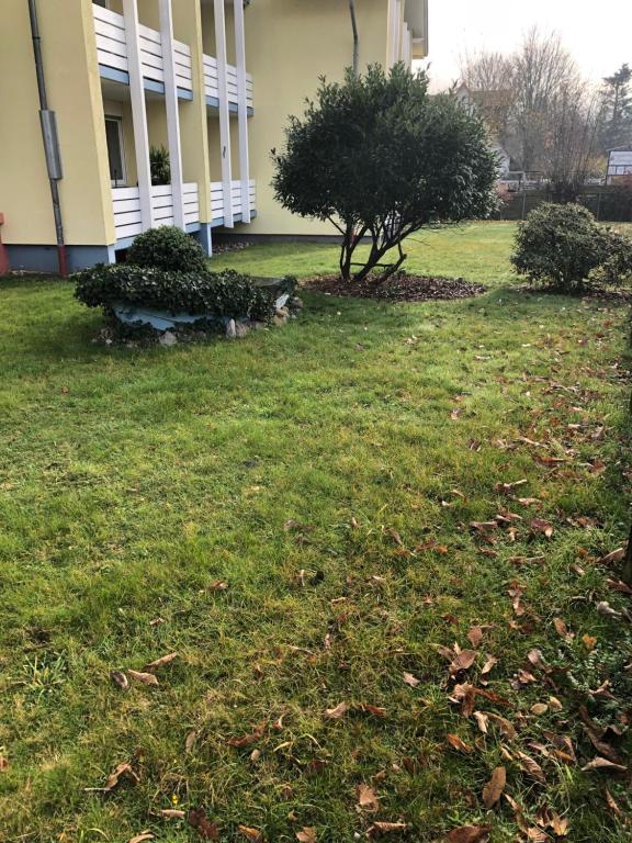 Zahrada ubytování Fewo Seeresidenz auf Scheid