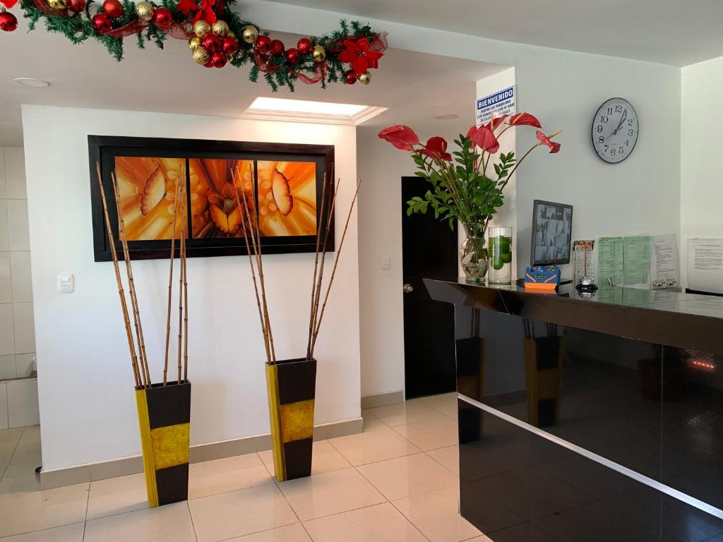 TV a/nebo společenská místnost v ubytování Hotel Casa Guillermo