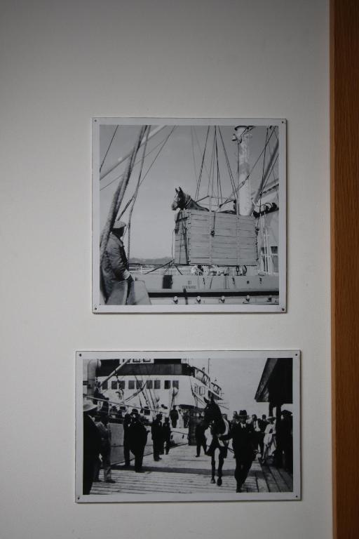 Fotografie z fotogalerie ubytování Hipodrom Sopot v Sopotech