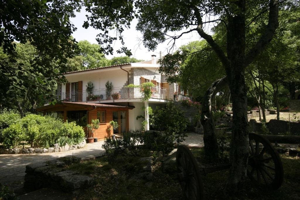 duży biały dom z drzewem przed nim w obiekcie Conca Marina w mieście Tempio Pausania