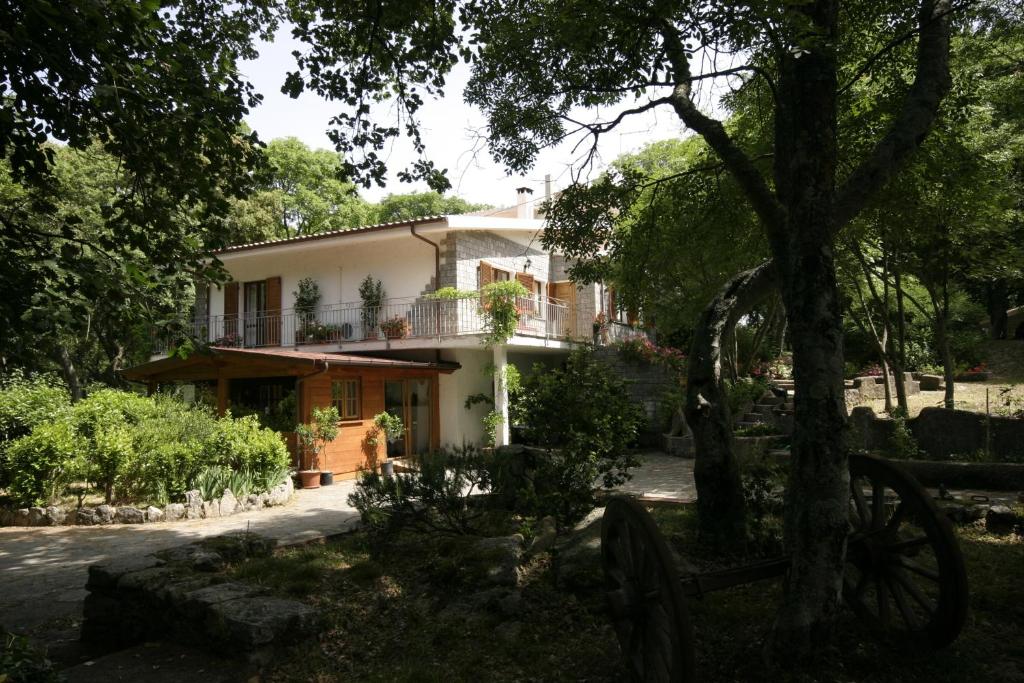 una gran casa blanca con un árbol delante en Conca Marina, en Tempio Pausania