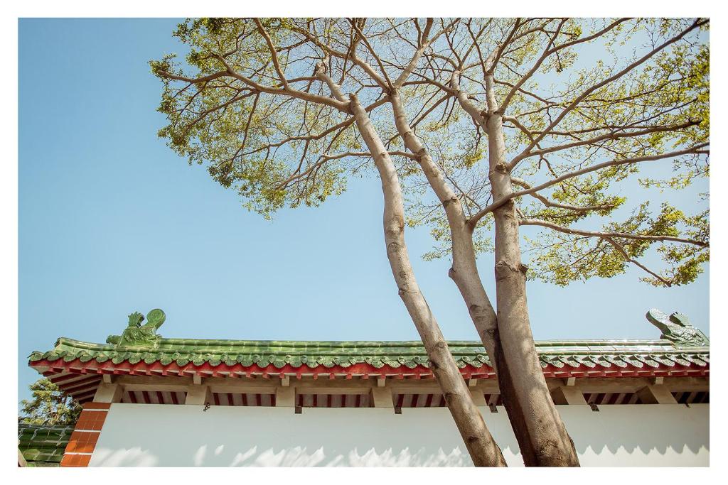 Fotografie z fotogalerie ubytování CandyFloss 棉花糖民宿 遊高雄 v destinaci Kao-siung