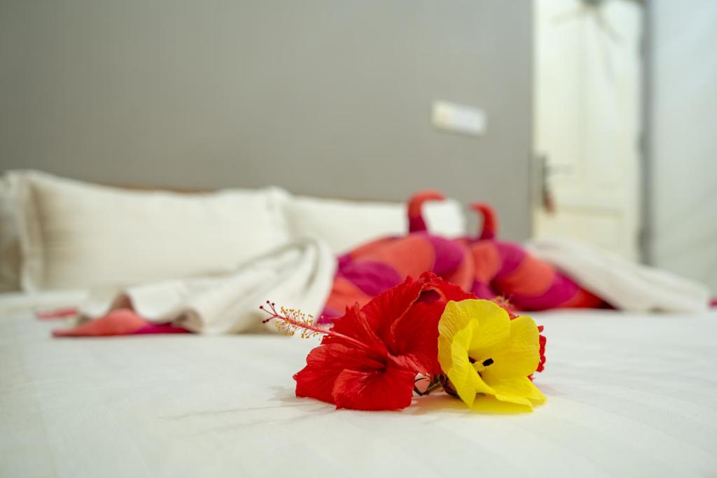 Koimala Beach Ukulhas - 17