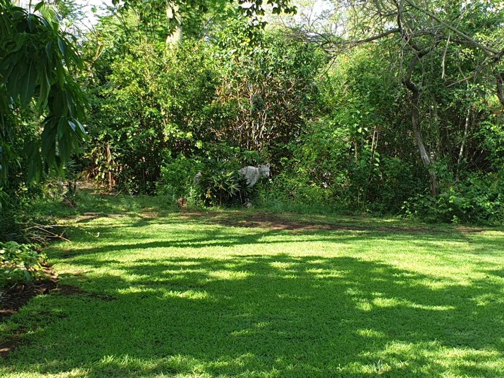 Un jardín fuera de Kruger Allo B&B