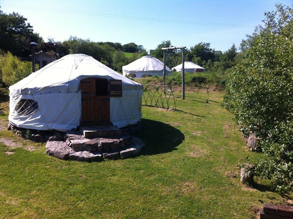 a yurt with a wooden door in a field at Inch Hideaway Eco Camping in Whitegate