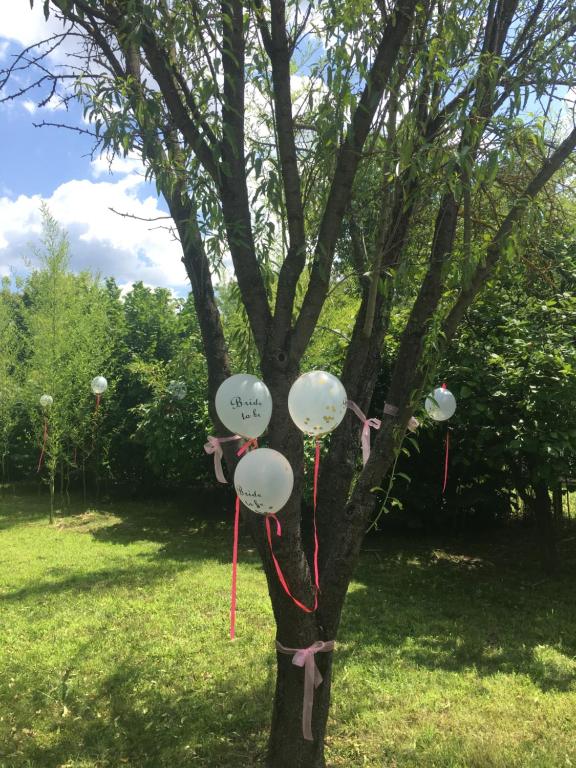 Vrt ispred objekta Dve kuce pored jezera