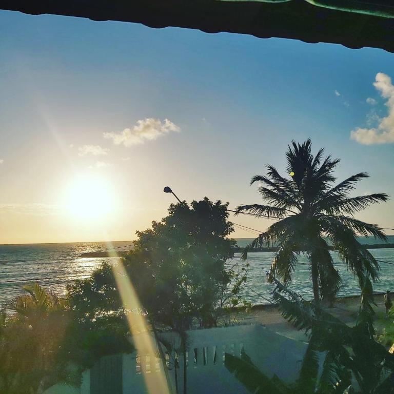  Taverna do Paraiso