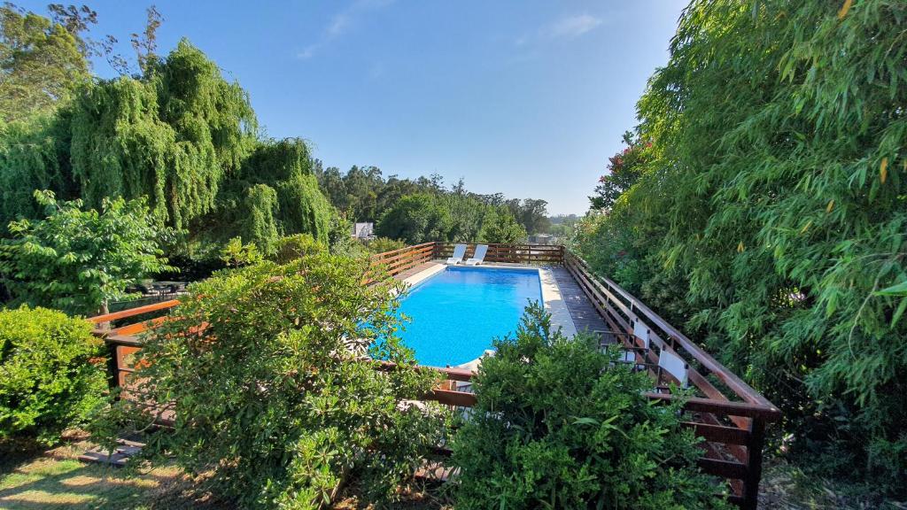 an overhead view of a swimming pool with trees at Brisas del Lago Tandil in Tandil