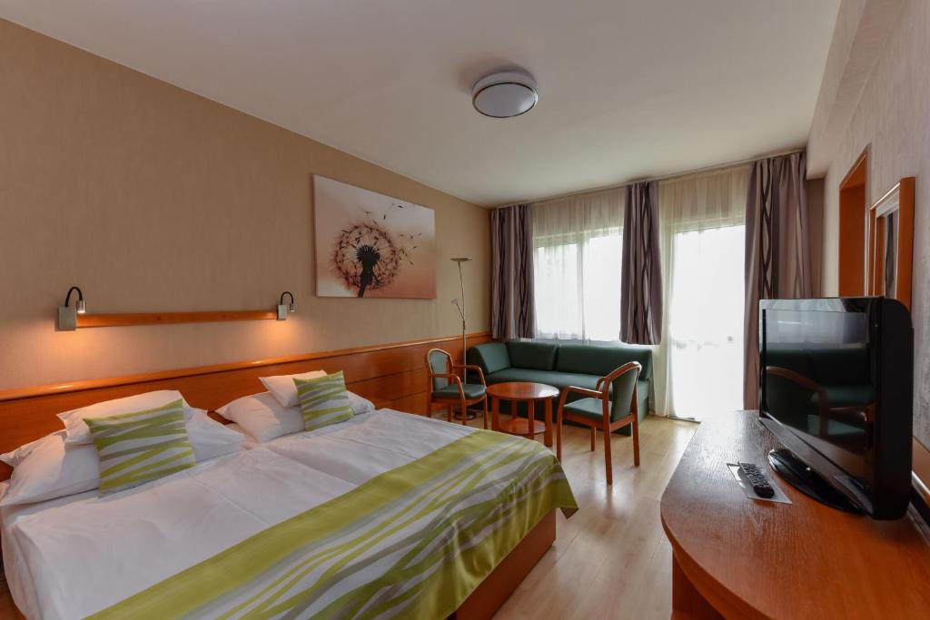 TV a/nebo společenská místnost v ubytování Hotel Panoráma