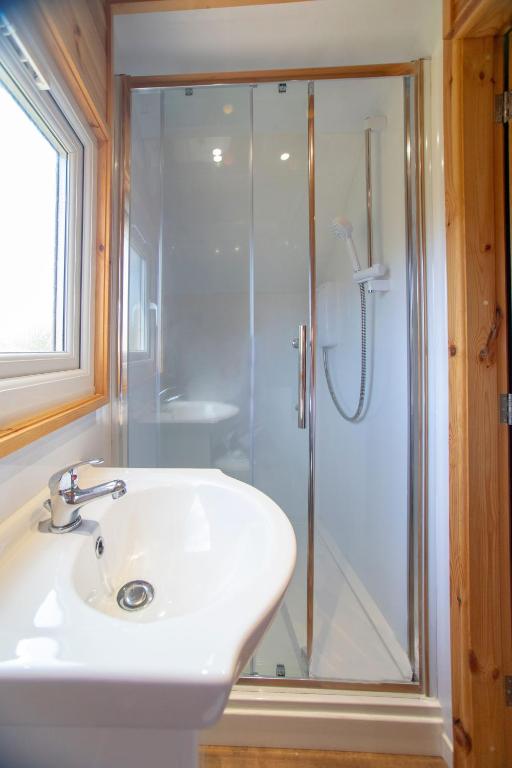 Koupelna v ubytování Brynteg Glamping