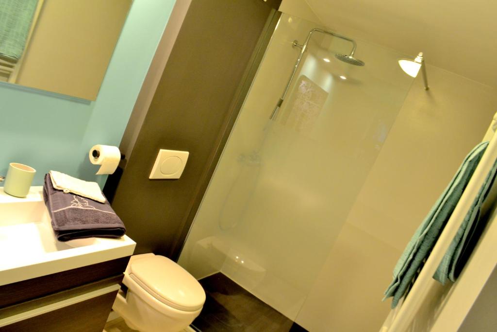 Koupelna v ubytování "En Aqualye" chambre privative chez l'habitant