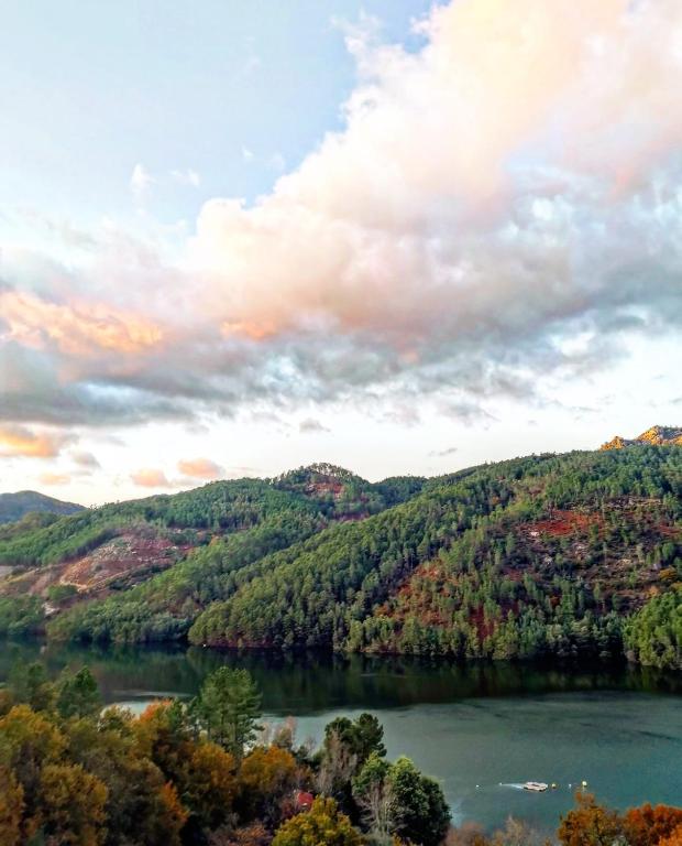 Solar do Cávado - 16