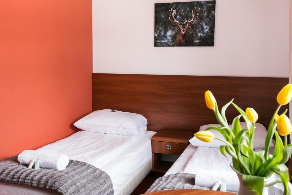 Rudy Lis Szczyrk - 13