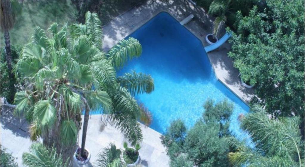 an overhead view of a swimming pool with a palm tree at Hotel Chellah in Tangier