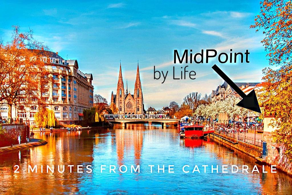 MIDPOINT by Life Renaissance