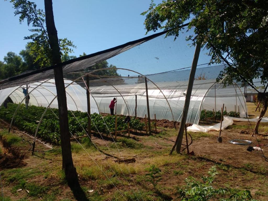 a greenhouse with a person standing in the water at La Finca in San Rafael