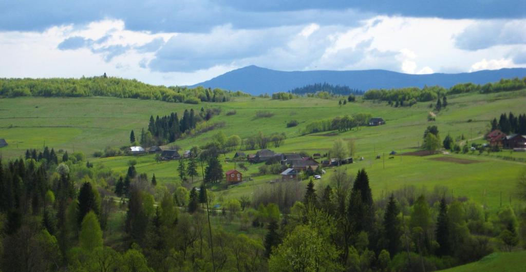 um campo verde com casas e árvores numa colina em Полонянка em Bukovinka