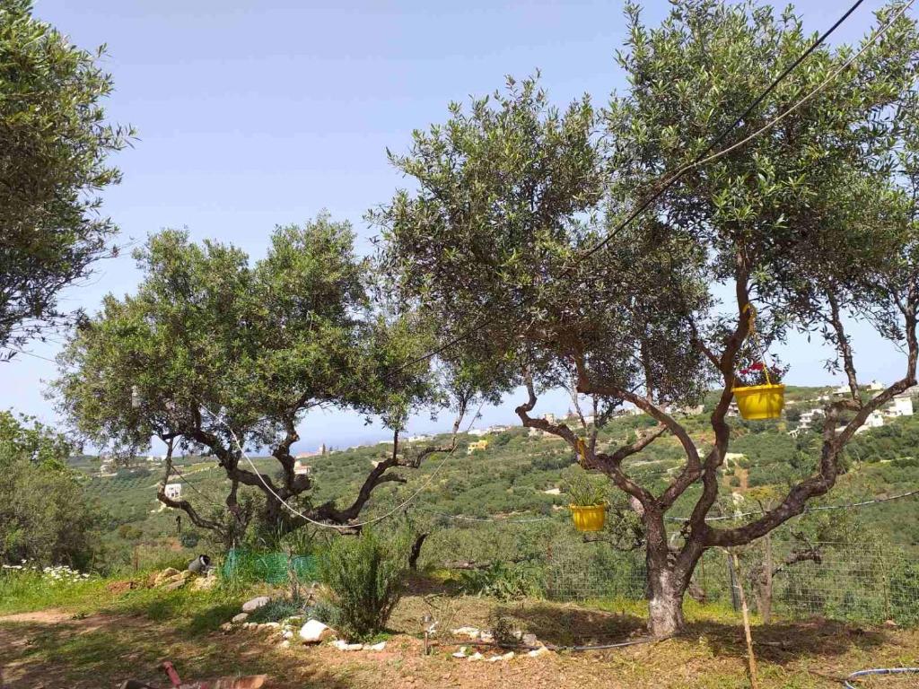 Calm and Top view in Chania countryside